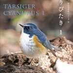 An Enthralling Journey into Avian Beauty: KOSEKI Kazuyuki Wild Bird Photo Collection Series II TARSIGER CYANURUS 1 (Aquilon Arts) (Japanese Edition) – A Must-Read for Bird Lovers!