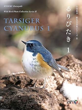 An Enthralling Journey into Avian Beauty: KOSEKI Kazuyuki Wild Bird Photo Collection Series II TARSIGER CYANURUS 1 (Aquilon Arts) (Japanese Edition) – A Must-Read for Bird Lovers!