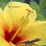 Discover the Beauty of the Amazon: A Captivating Review of ‘Talks with Nature: Photographs and Narrative Poems from Amazon’ Discover the Beauty of the Amazon: A Captivating Review of ‘Talks with Nature: Photographs and Narrative Poems from Amazon’