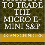 Unlock Your Trading Potential: A Comprehensive Review of ‘Best Strategy to Trade the Micro E-Mini S&P: Combine this Strategy with Money Management for Profits’ from Amazon