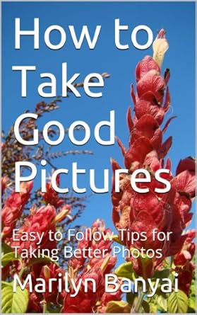 Discover the Secrets to Stunning Photography: A Review of ‘How to Take Good Pictures: Easy to Follow Tips for Taking Better Photos’