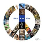 Discover the Life-Changing Insights in ‘Live & Let Live (Navigate Your Life with a Smile)’ – A Must-Read for Personal Growth Enthusiasts!