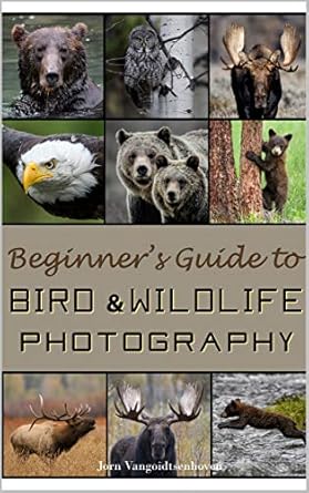 Discover the Secrets of Captivating Shots: A Review of Beginner’s Guide to Bird and Wildlife Photography