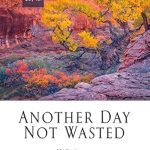 Transform Your Perspective: A Review of Another Day Not Wasted: Meditations in Photography, Art, and Wildness