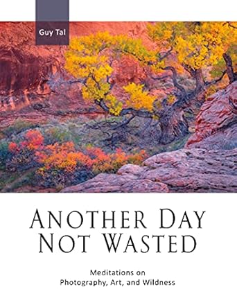 Transform Your Perspective: A Review of Another Day Not Wasted: Meditations in Photography, Art, and Wildness