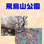 Discover the Beauty of Nature: A Comprehensive Review of Photograph Collection Asukayama Park Photo Collection (Japanese Edition)