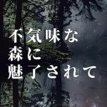 Discover the Magic: A Captivating Review of Enchanted by the Eerie Forest (Japanese Edition) Discover the Magic: A Captivating Review of Enchanted by the Eerie Forest (Japanese Edition)