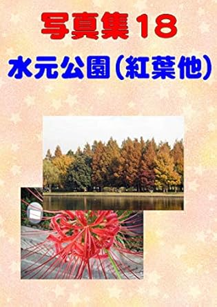 Unveiling Nature’s Beauty: A Captivating Review of ‘Photograph Collection Mizumoto Park Autumn Leaves – Other Photo Collection (Japanese Edition)’