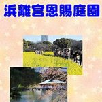 Discover the Beauty of Nature: A Review of ‘Photo Gallery Hamarikyu Garden Photo Collection (Japanese Edition)’