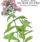 Unlock Your Creativity: A Comprehensive Review of Decorative Plant and Flower Studies for Artists and Craftsmen (Dover Pictorial Archive) Unlock Your Creativity: A Comprehensive Review of Decorative Plant and Flower Studies for Artists and Craftsmen (Dover Pictorial Archive)