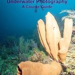 Discover the Secrets of Stunning Imagery: A Comprehensive Review of ‘The Art of Underwater Photography: A Course Guide’
