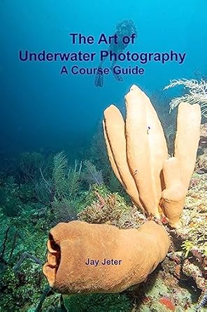 Discover the Secrets of Stunning Imagery: A Comprehensive Review of ‘The Art of Underwater Photography: A Course Guide’