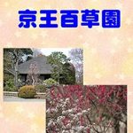 Discover the Beauty of Nature: A Review of Photograph Collection Keio Mogusaen Photo Collection (Japanese Edition) Discover the Beauty of Nature: A Review of Photograph Collection Keio Mogusaen Photo Collection (Japanese Edition)