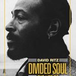An Unforgettable Journey Through Music and Heartbreak: Divided Soul: The Life Of Marvin Gaye An Unforgettable Journey Through Music and Heartbreak: Divided Soul: The Life Of Marvin Gaye