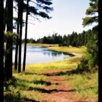 Discover the Magic of Light: A Compelling Review of ‘Experiments In Impressionism – A Photography Study – Volume 2 (Art Book 7)’ Discover the Magic of Light: A Compelling Review of ‘Experiments In Impressionism – A Photography Study – Volume 2 (Art Book 7)’