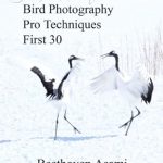Discover Expert Insights: Bird Photography Pro Techniques – First 30 Review for Aspiring Photographers