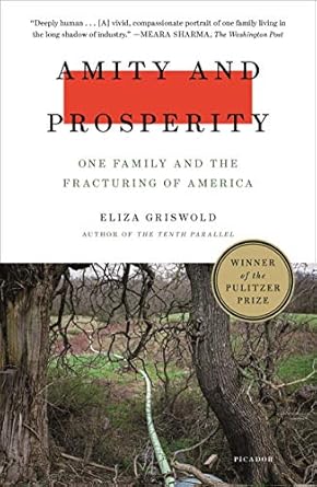 An Eye-Opening Exploration of Community Struggles: Amity and Prosperity: One Family and the Fracturing of America