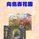 Discover the Timeless Beauty of Tokyo: A Review of Photobook Mukojima Hyakunenen Photo Collection (Japanese Edition)