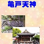 Discover the Beauty of Tradition: A Comprehensive Review of Photo Collection Kameido Tenjin (Japanese Edition)