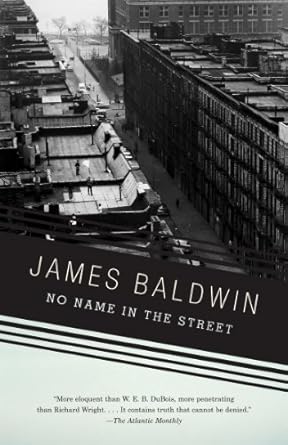 An Unforgettable Journey Through Struggle and Identity: No Name in the Street (Vintage International) Review