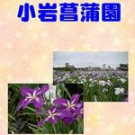 Discover the Enchanting World of Koiwa Gion: A Captivating Review of the Photobook Koiwa Gion Photo Collection (Japanese Edition)