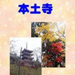 An Enchanting Journey Through Spirituality: Photograph Collection Hondo Temple Photo Collection (Japanese Edition)