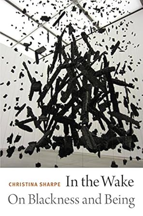 An Eye-Opening Exploration of Identity: In the Wake: On Blackness and Being