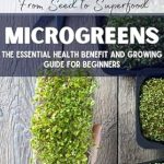 Unlock the Power of Nutrition: A Comprehensive Review of ‘From Seed to Superfood – Microgreens: The Essential Health Benefit and Growing Guide for Beginners’