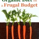 Discover How to Eat Healthy: A Comprehensive Review of ‘Eating an Organic Diet on a Frugal Budget’