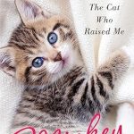 An Unforgettable Journey of Love: A Review of ‘Mickey: The Cat Who Raised Me’