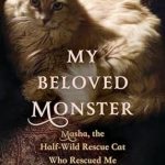 Discover the Heartwarming Story of Resilience: My Beloved Monster: Masha, the Half-Wild Rescue Cat Who Rescued Me from Amazon