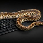 Unlock Your Coding Potential: A Comprehensive Review of ‘Start Coding with Python: Coding for Beginners’ Unlock Your Coding Potential: A Comprehensive Review of ‘Start Coding with Python: Coding for Beginners’