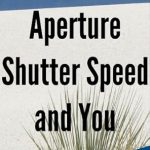Unlock Your Photography Potential: A Comprehensive Review of ‘Digital Photography: Aperture, Shutter Speed and You – All You Need to Create Stunning Digital Photographs’ Unlock Your Photography Potential: A Comprehensive Review of ‘Digital Photography: Aperture, Shutter Speed and You – All You Need to Create Stunning Digital Photographs’
