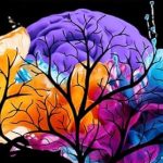 Transform Your Perspective: A Review of ‘Beyond the Ordinary: Discover the Power of Creative and Neurodiverse Women: A Self-Help Guide by Mandy Nicholson Featuring the Stories of 30 Women’