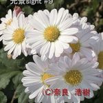 Discover the Depths of Emotion: A Compelling Review of Koukei Saito Kyuu (Japanese Edition)