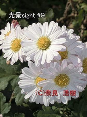 Discover the Depths of Emotion: A Compelling Review of Koukei Saito Kyuu (Japanese Edition)