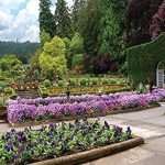 Discover the Timeless Beauty of Nature: A Comprehensive Review of ‘Italian Gardens’ Discover the Timeless Beauty of Nature: A Comprehensive Review of ‘Italian Gardens’