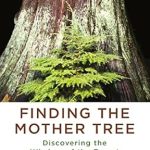 Uncover the Secrets of Nature: A Compelling Review of ‘Finding the Mother Tree: Discovering the Wisdom of the Forest’