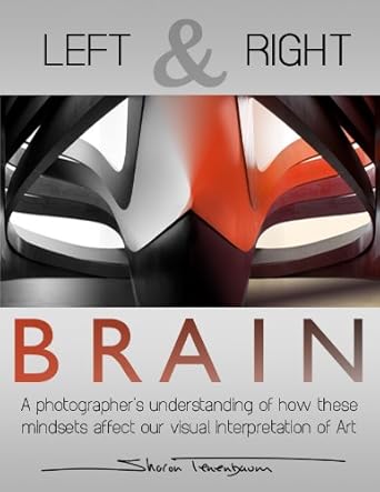 Unlock Your Creative Potential: A Comprehensive Review of ‘Left and Right Brain: A Photographer’s Understanding How These Mindsets Affect Our Visual Interpretation of Art’