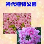 Discover the Beauty of Nature: A Review of Photo Collection Jindai Botanical Gardens (Japanese Edition)