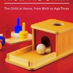 Unlocking Early Learning: A Comprehensive Review of Montessori from the Start: The Child at Home, from Birth to Age Three