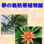 Discover the Beauty of Nature: A Comprehensive Review of Photo Album Dream Island Tropical Plant Museum Photo Collection (Japanese Edition)