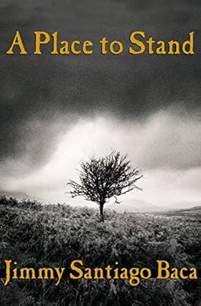 Discover the Heartfelt Journey in ‘A Place to Stand’: A Captivating Review of Resilience and Redemption