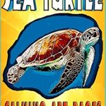 Discover Tranquility: A Review of The Big Book of Sea Turtle Calming Art Pages for Stress Relief and Relaxation