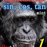 Unlock the Secrets of Trigonometry: A Comprehensive Review of Funções Trigonométricas: Sin, Cos, Tan: Matemática Aprendizagem Rápida 1 (Portuguese Edition) Unlock the Secrets of Trigonometry: A Comprehensive Review of Funções Trigonométricas: Sin, Cos, Tan: Matemática Aprendizagem Rápida 1 (Portuguese Edition)