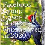 Discover the Creative Potential: A Review of Facebook Group Cover Photos by Shixing Wen (2020)