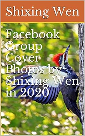 Discover the Creative Potential: A Review of Facebook Group Cover Photos by Shixing Wen (2020)
