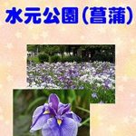 Discover the Beauty of Nature: A Review of ‘Photo Album Mizumoto Park Iris Photo Collection (Japanese Edition)’