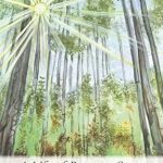 Discover the Heartfelt Magic of ‘A Life of Prayer & Song’: A Poetry Collection from Amazon That Inspires and Uplifts