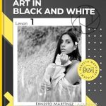 Discover the Secrets of Stunning Monochrome Photography: A Comprehensive Review of ‘Black and White Art: The Complete Guide to Mastering Monochrome Photography’ (Higher Training in PROFESSIONAL PHOTOGRAPHY)